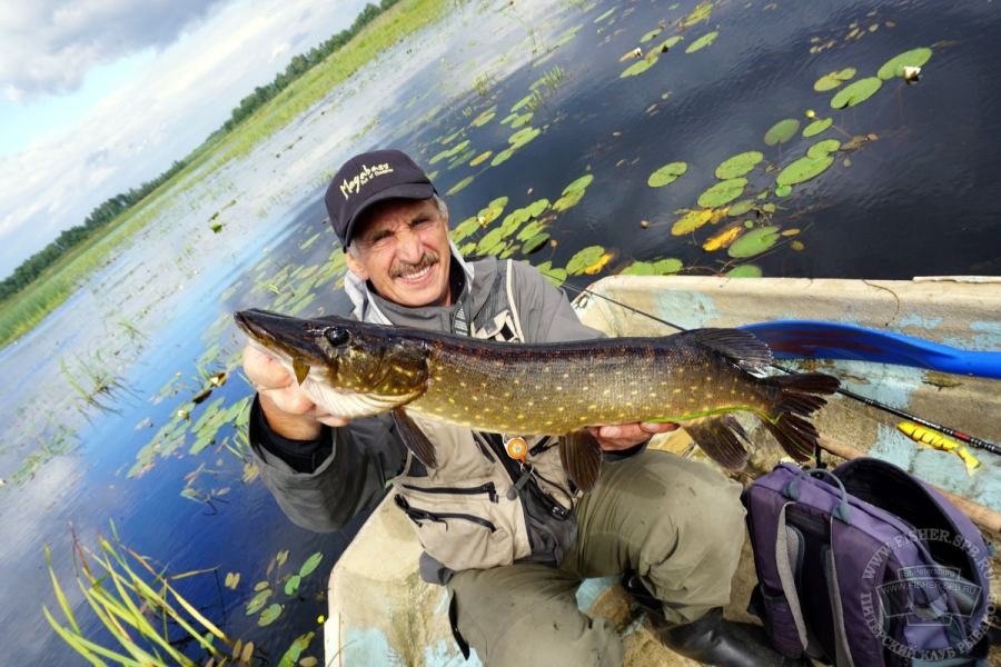 Прогноз клева на неделю в Качканар, рыбалка в Качканар, Свердловская область, Россия Прогноз клева на неделю в Качканар, рыбалка в Качканар, Свердловская область, Россия