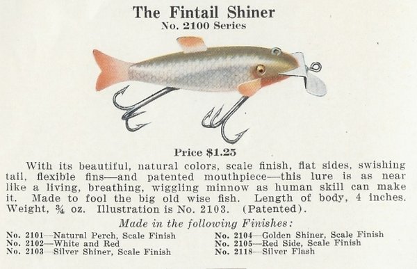creek-chub-fin-tail-shiner.jpg
