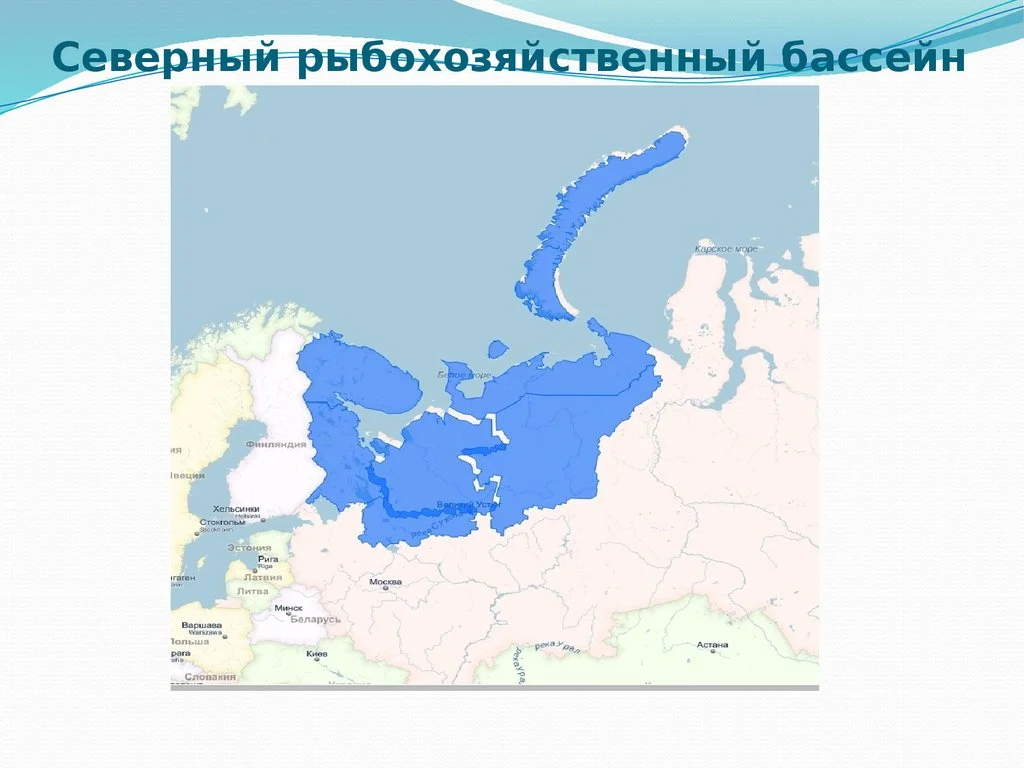 Районы промысла Дальневосточный рыбохозяйственный бассейн. Северный бассейн на карте России. Северный рыбохозяйственный бассейн карта. Северный рыбопромысловый бассейн.