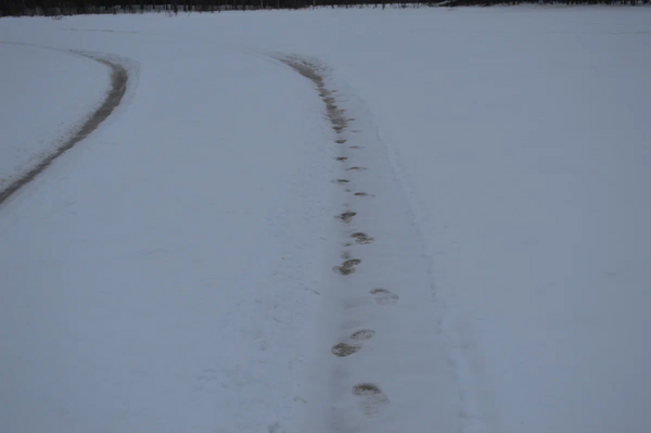 image.thumb.png.0b75020b4cb6a07905c21c1e0769bee4.png