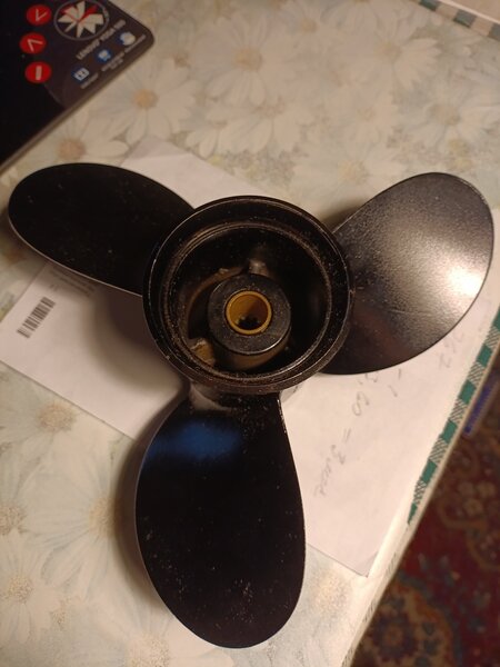 1736093406815.jpg