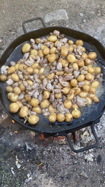 IMG_5886.thumb.jpeg.3473f50aa7943b0e4bf8e0270520b4e6.jpeg