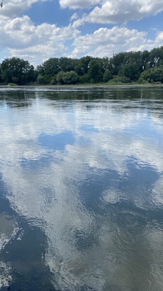 IMG_5892.thumb.jpeg.06ad60ab0f404e48df7cba68c2c2a645.jpeg