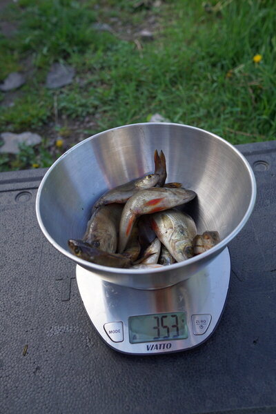 DSC06534.JPG