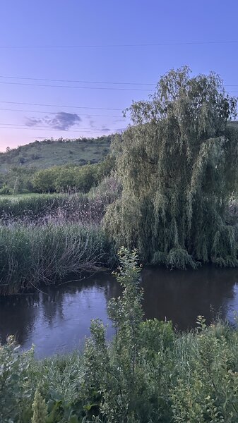 IMG_9074.thumb.jpeg.566450e31b93eff78ad290a85ca70558.jpeg