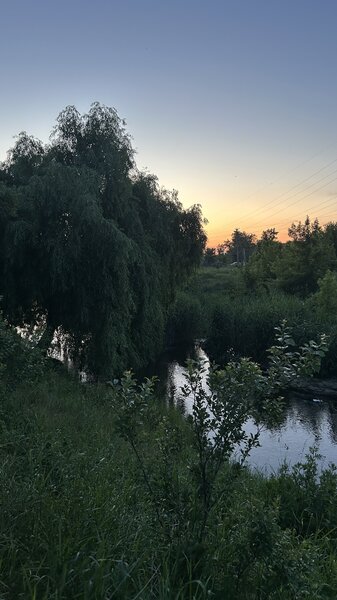 IMG_9075.jpeg
