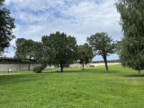 IMG_9407.thumb.jpeg.1b424c9de16b41268f956a4663404d83.jpeg
