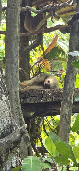 2051855785_sharedimage(26).thumb.jpg.abe086416517cd35608b8a321b508bc3.jpg