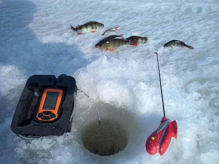 Рыбалка на озерах форум. Креницы Ладожское озеро. Рыбалка на Ладожском озере. Зимняя рыбалка на Ладожском озере. Рыбалка на Ладоге зимой.
