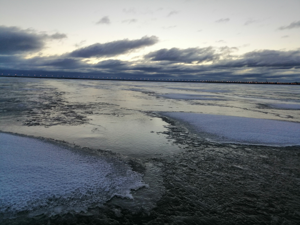Вода в заливе сегодня. Финский залив цветет 2022. Финский залив вода. Финский залив сейчас. Соленая ли вода в финском заливе в СПБ.