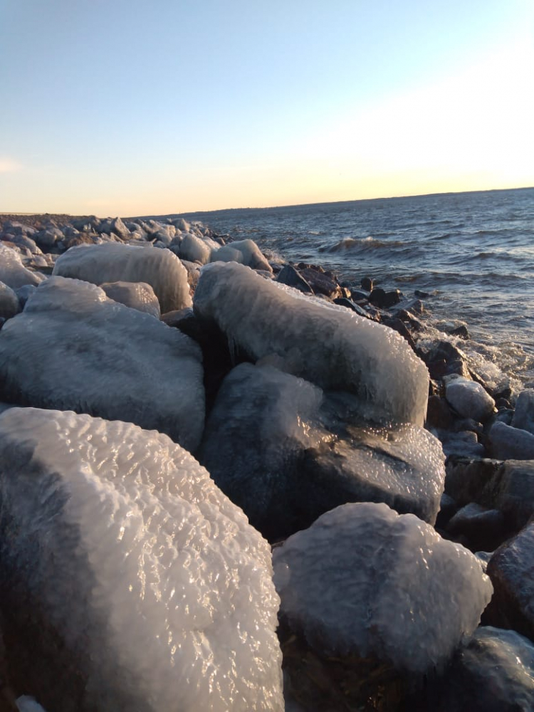 Финский залив соленая вода. Камни дамбы финского залива. Финский залив. Финский залив камни. Финский залив соленый.