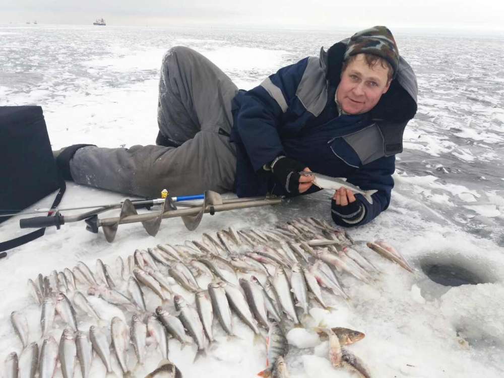 Ловить рыбу в ленинградской области. Ловля корюшки на финском заливе. Корюшка финский залив. Зимняя рыбалка финский залив дамба. Зимняя рыбалка в Усинском заливе.