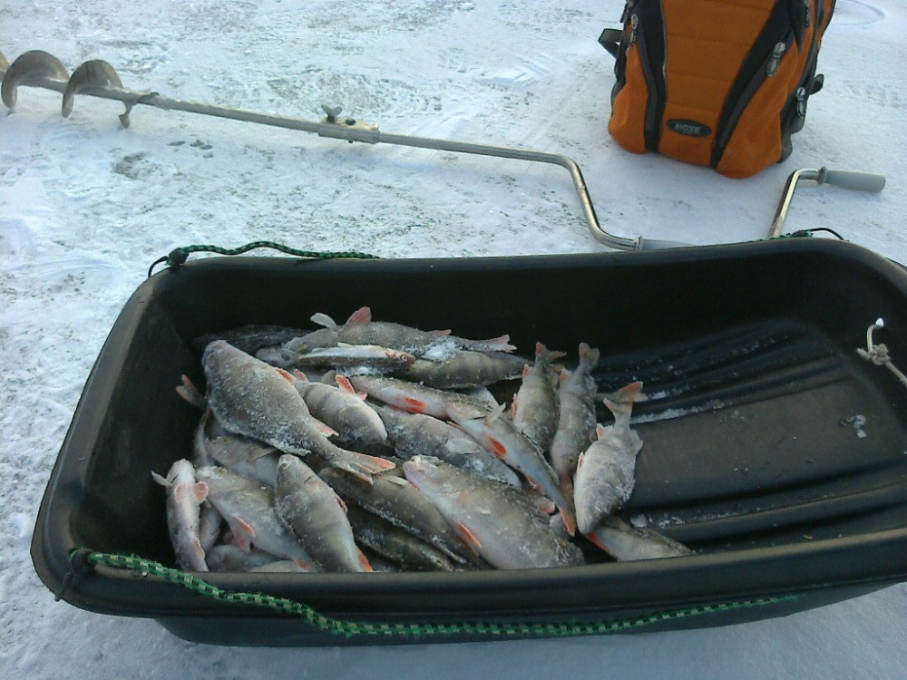 Петербург клуб рыбаков