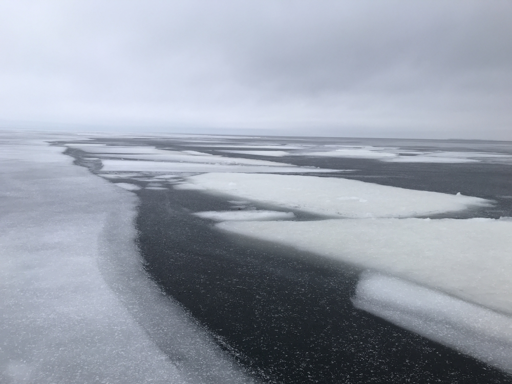 Лед на ладожском озере. Кобона Ладожское озеро. Петровичева Ладожское озеро зимой. Ладожское озеро зимой рыбалка.