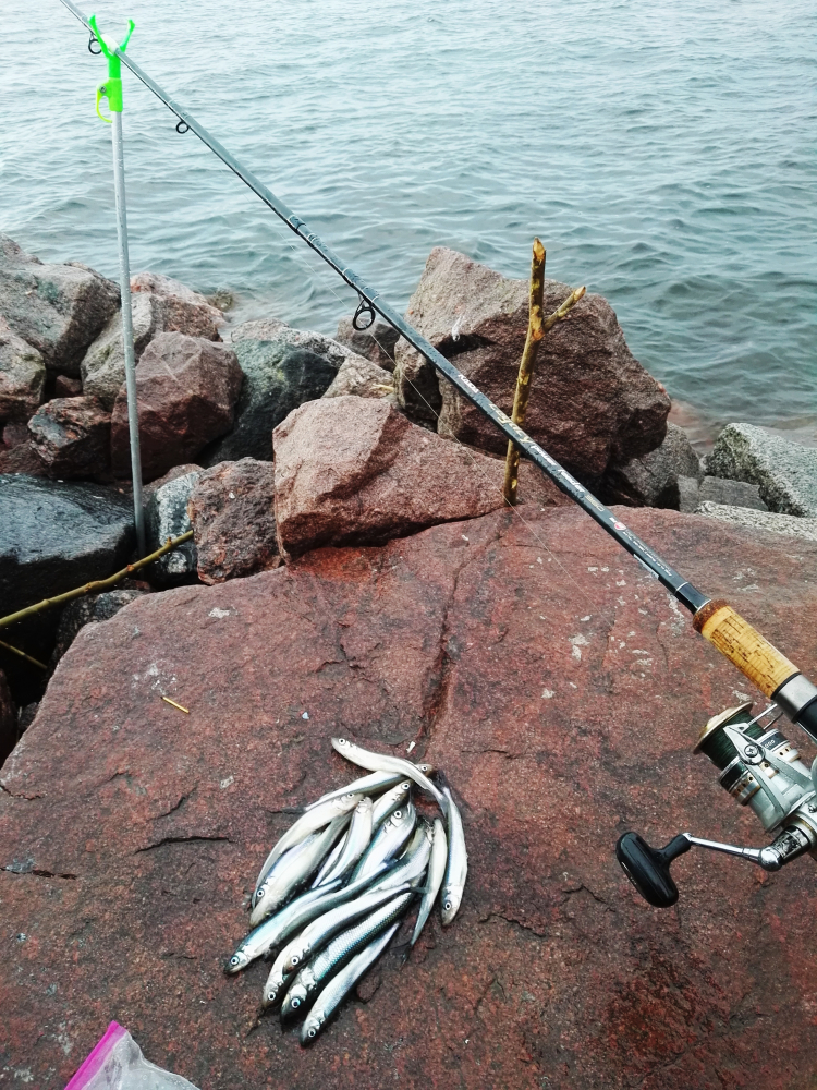 Ловли санкт петербург. Дамба Кронштадт рыбалка. Ловля у дамбы. Ловля на дамбе финского залива. Рыбалка на дамбе финского залива.