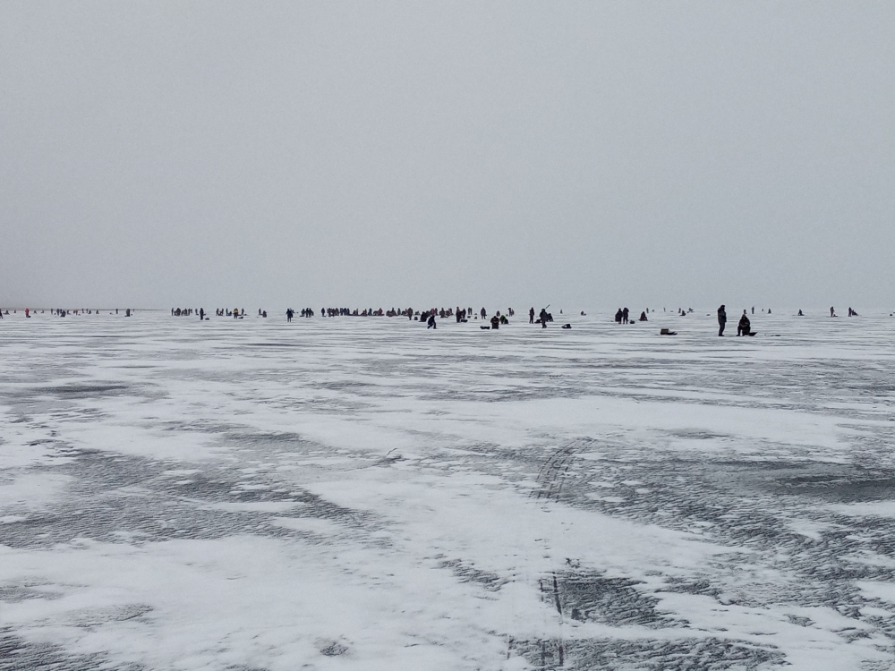 Ледовая обстановка ладоге в реальном времени. Деревня черное Ладожское озеро. Лед в Ладоге черное. Ладожское озеро состояние льда. Ладожское озеро зимой со спутника.