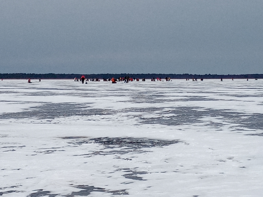 Ледовая обстановка ладоге в реальном времени. Ледовая обстановка на Ладоге. Ладожское озеро состояние льда. Чёрное Ладожское озеро. Ледовая обстановка на Ладоге на сегодня.