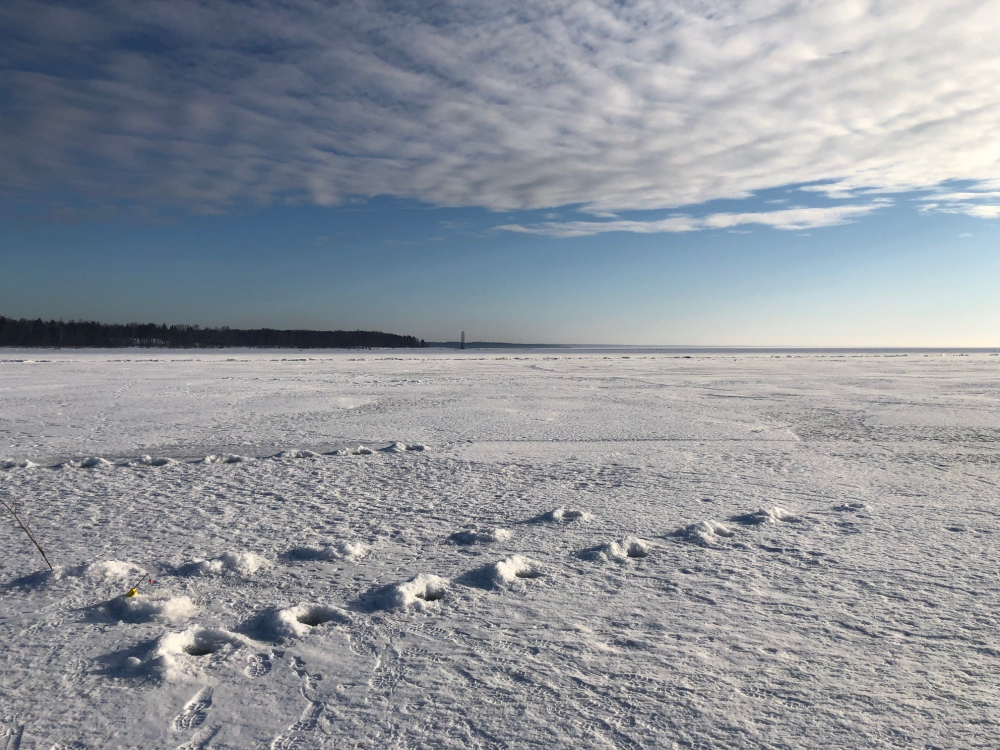 Приветнинское финский залив. Финский залив сейчас. Финский залив март 2022 года. Полынье финского залива. Финский залив соленая вода