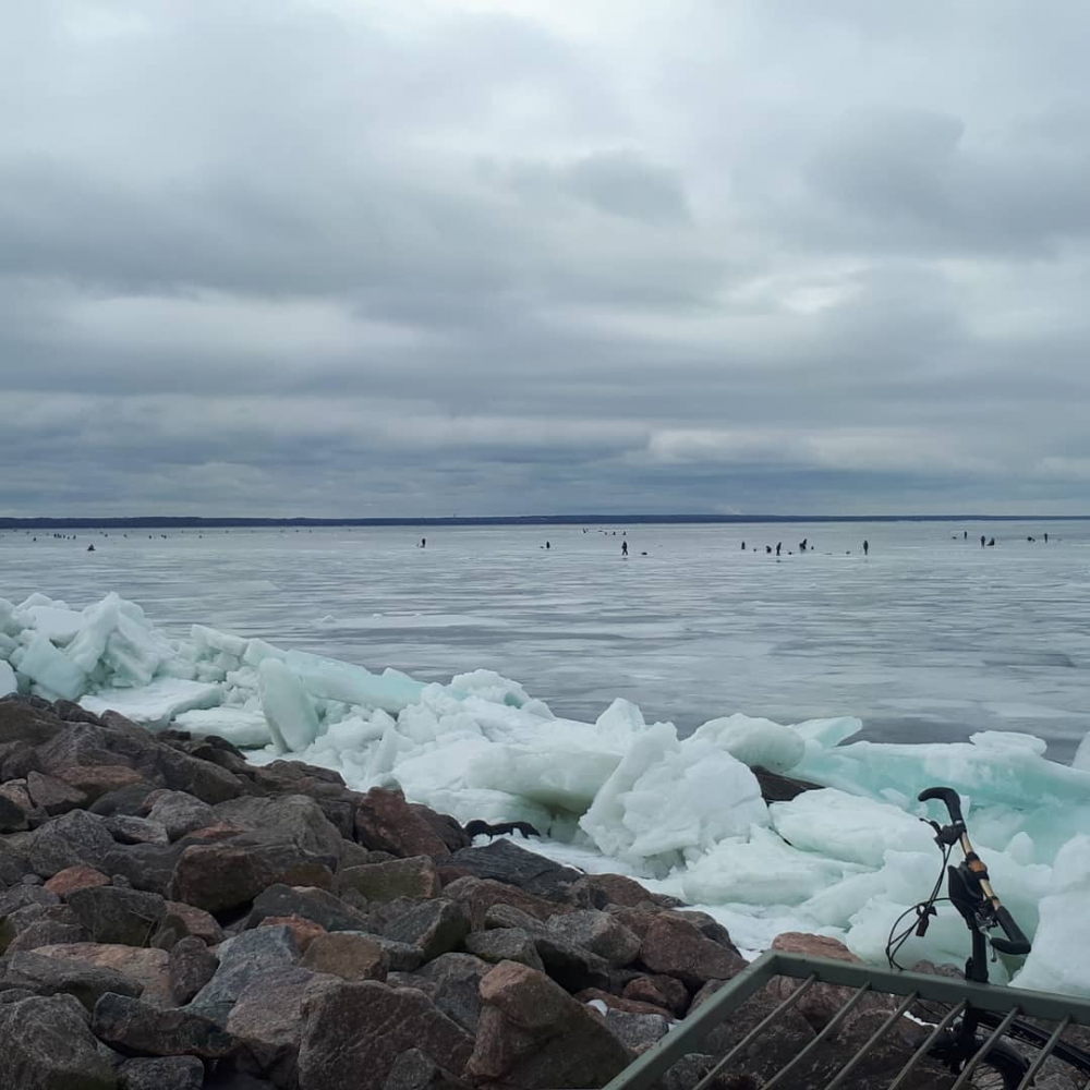 Вода в заливе сегодня. Финский залив Тарховка. Южная дамба финского залива. Финский залив в марте. Дамба Юг море.